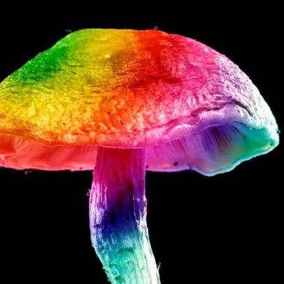 Maior estudo sobre psicodélicos explica como atuam no cérebro