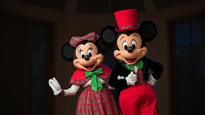 A proposta contempla, segundo o projeto, "apresentações de teatro musical com elenco profissional, músicos ao vivo e personagens oficiais da Disney"