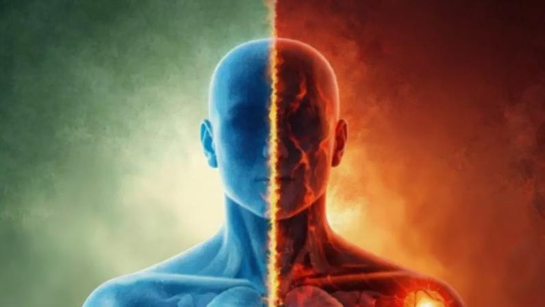 Alimentação pode influenciar inflamações no corpo, aponta estudo