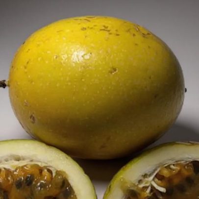 Maracujá: sabor, aroma e usos medicinais que atravessam gerações