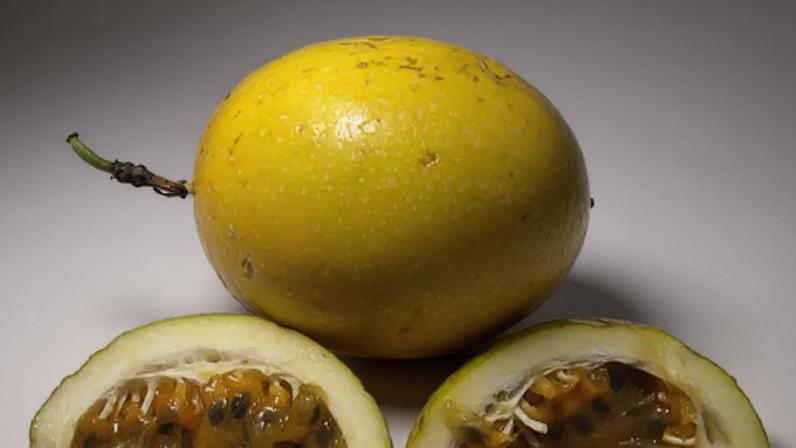 Maracujá: sabor, aroma e usos medicinais que atravessam gerações