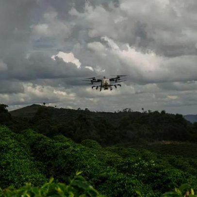 Relatório global da DJI confirma benefício ambiental dos drones