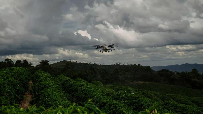 Foto: Divulgação DJI Agricultura / Plata / DINO