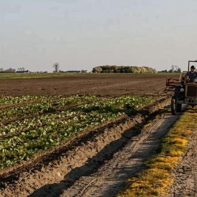 IBGE promove oficina do 12º Censo Agro, Florestal e Aquícola para comunicadores