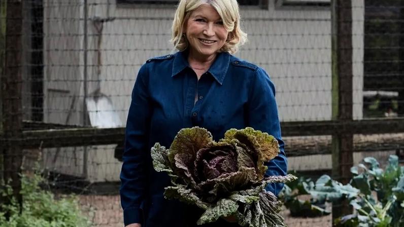 Martha Stewart, 84, mantém rotina de pilates e halteres para manter a força