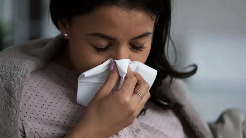 Foto: Reprodução/Shutterstock