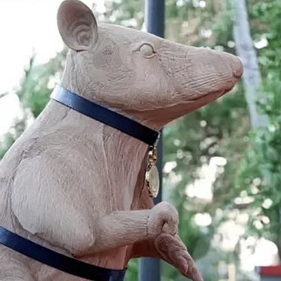 Camboja inaugura estátua em homenagem a rato farejador de minas