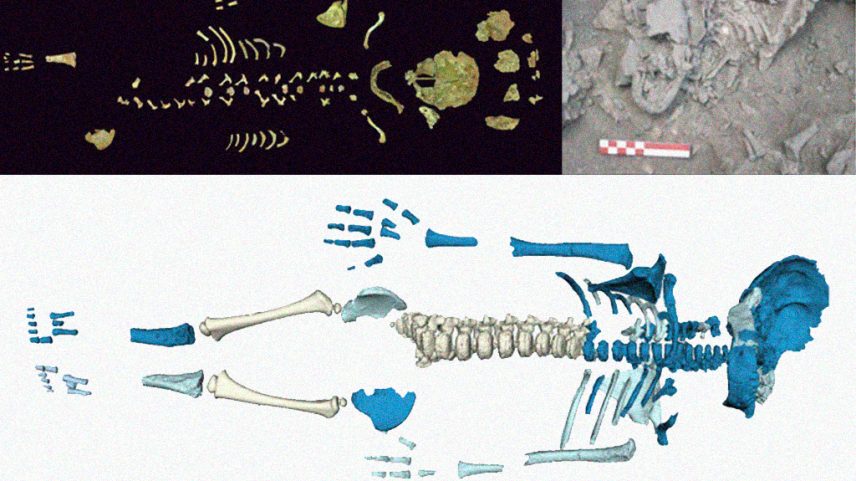 Fotografias de um Crescimento acelerado em um bebê neandertal da caverna de Amud.