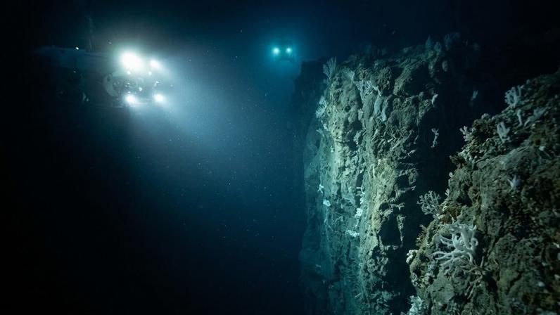 Trata-se de uma formação muito maior que o Grand Canyon, esculpida pelos mesmos processos de erosão que desenham as montanhas e habitada por criaturas que a maioria das pessoas jamais verá sem a ajuda de um veículo submarino remoto