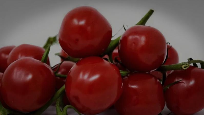 Molho, extrato e ketchup têm diferenças no uso do tomate