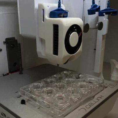Pele humana cultivada em laboratório reproduz efeitos da menopausa para cosméticos