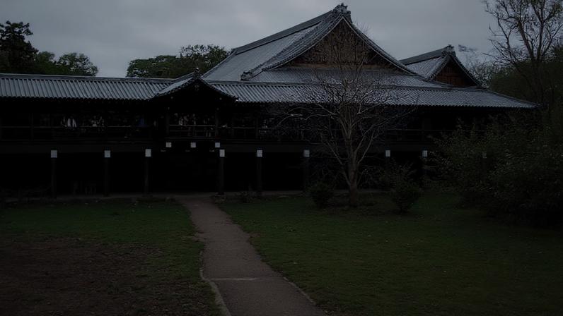 Flores e plantas vermelhas destacam beleza intensa