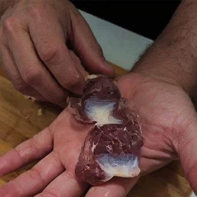 Moela de frango é barata, nutritiva e surpreende na cozinha
