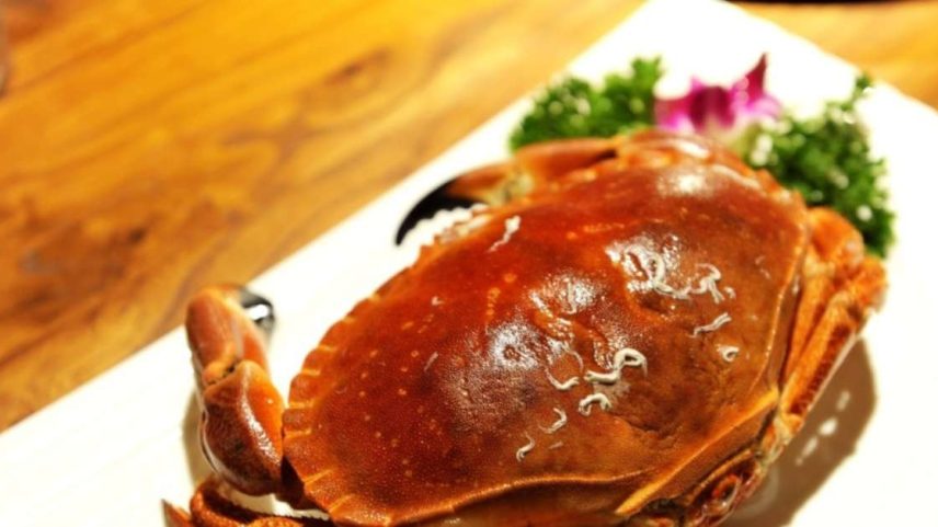 Diferenças sutis entre caranguejos e siris explicadas