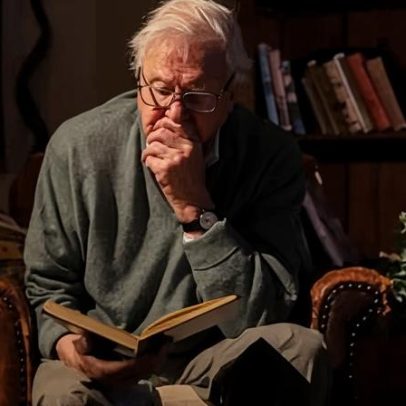A Gorilla Story narra Attenborough em crítica que evoca lembranças familiares
