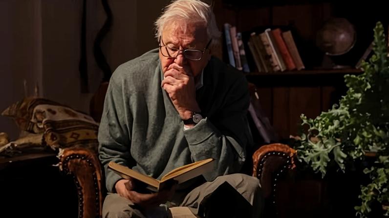 A Gorilla Story narra Attenborough em crítica que evoca lembranças familiares