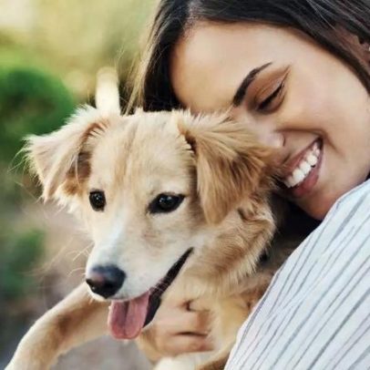 Vida média de cães por raça, segundo especialistas