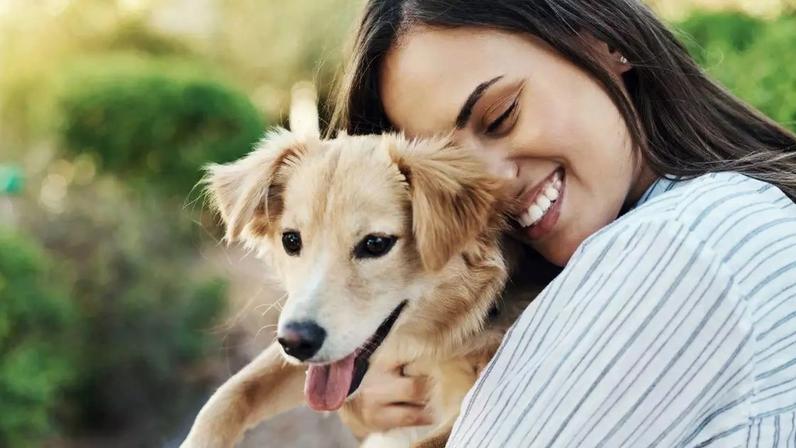 Vida média de cães por raça, segundo especialistas