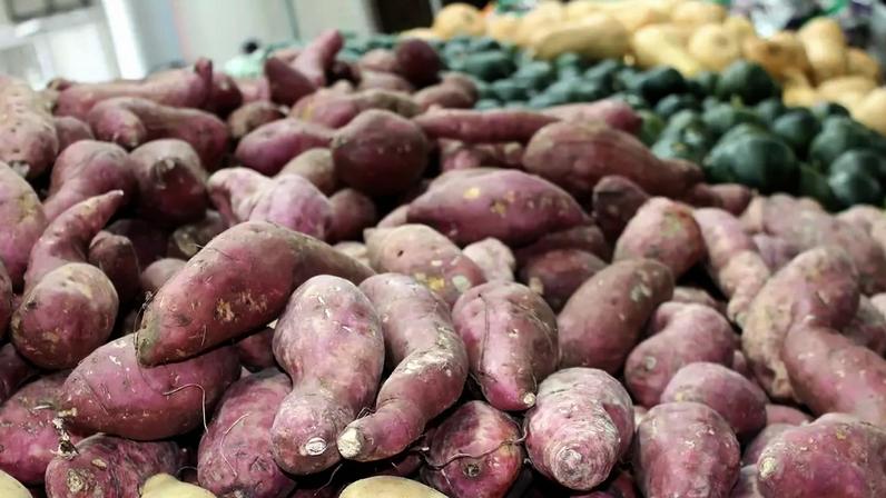 Batata-doce vai além do prato tradicional e oferece benefícios