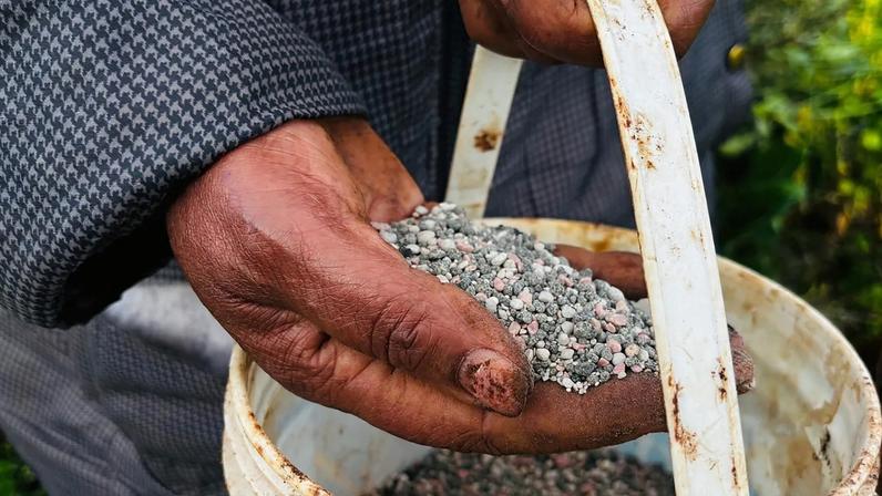 Tensões no Oriente Médio elevam preços globais de alimentos pelo segundo mês