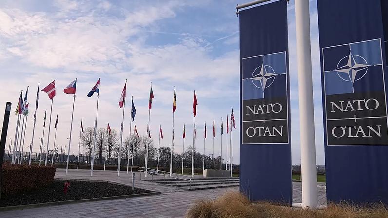 Trump avalia retirar os EUA da OTAN, rotulada como 'tigre de papel'