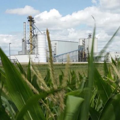 Biocombustíveis sob escrutínio enquanto UE busca energia alternativa