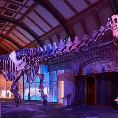 Maior dinossauro do mundo em exibição na catedral britânica