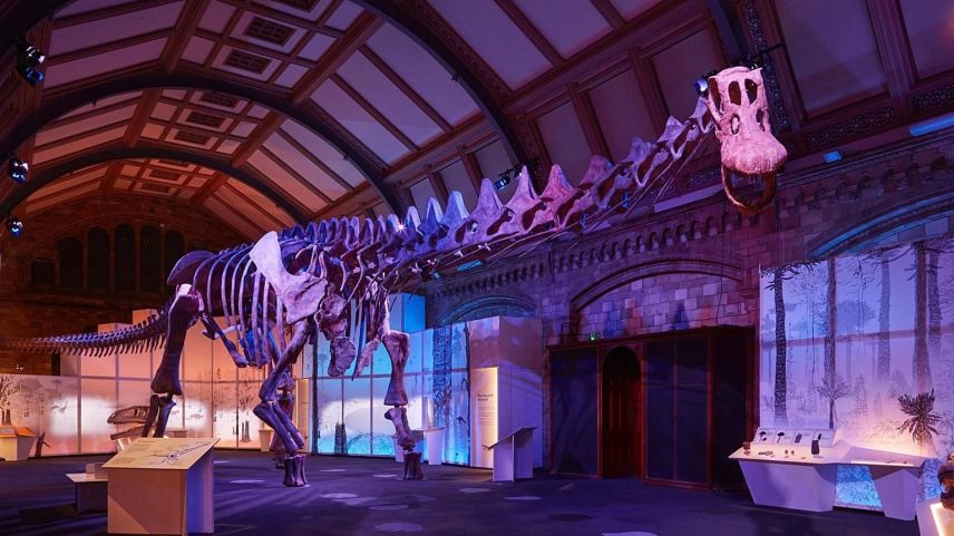 Maior dinossauro do mundo em exibição na catedral britânica