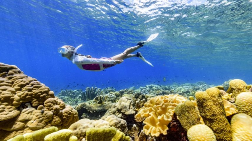 Turismo nas Ilhas Salomão se recupera; o que ver e fazer