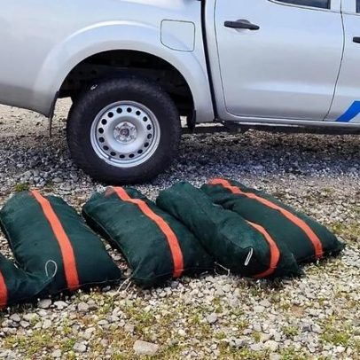 Grécia restringe pesca ilegal enquanto ouriços-do-mar enfrentam extinção