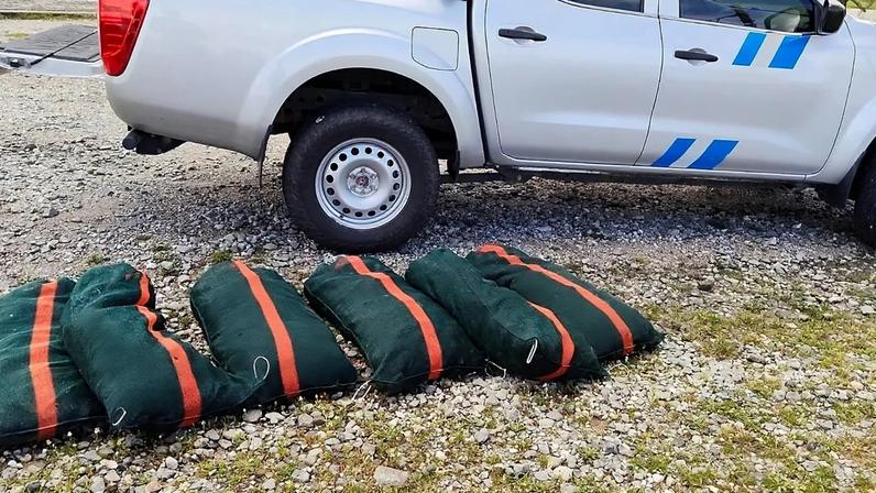 Grécia restringe pesca ilegal enquanto ouriços-do-mar enfrentam extinção