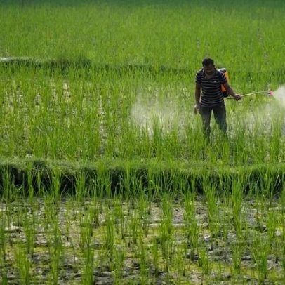Estudo associa exposição a pesticidas agrícolas ao risco de câncer
