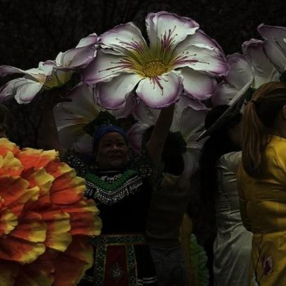 Festival de Cerejeiras em Berlim atrai muitos turistas nesta primavera