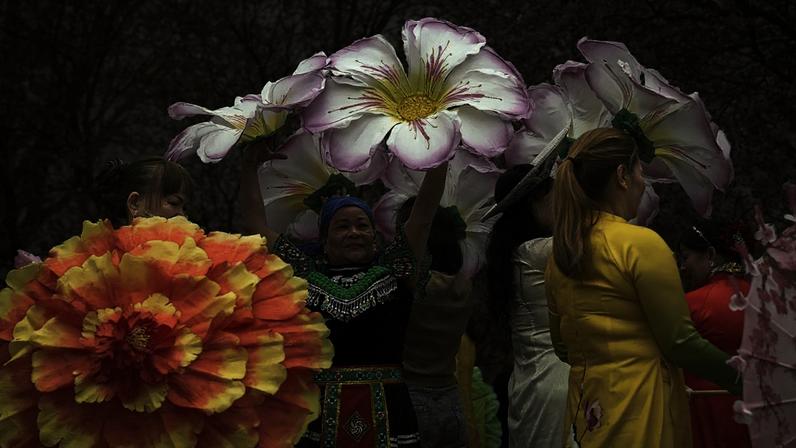 Festival de Cerejeiras em Berlim atrai muitos turistas nesta primavera