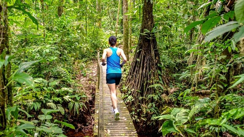 Melhores maratonas inesquecíveis da Amazônia à Antártida