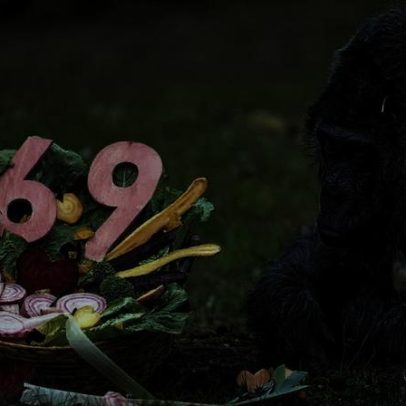 Alemanha comemora 69º aniversário do gorila mais velho do zoológico