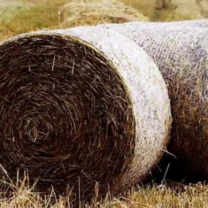 Palha útil desde a antiguidade e evolução pela versatilidade
