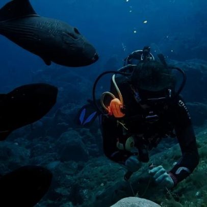 Expedição científica revela biodiversidade marinha no Espírito Santo