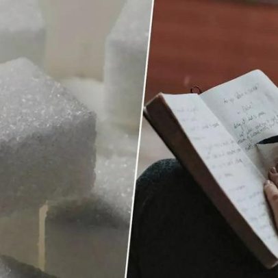 Estudo com moscas sugere benefício de ingerir açúcar após o estudo
