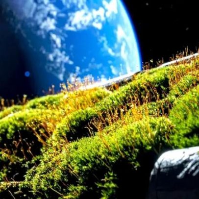 Musgo permanece preso à ISS por 283 dias, passo para mundos espaciais verdes