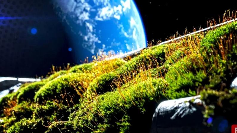 Musgo permanece preso à ISS por 283 dias, passo para mundos espaciais verdes