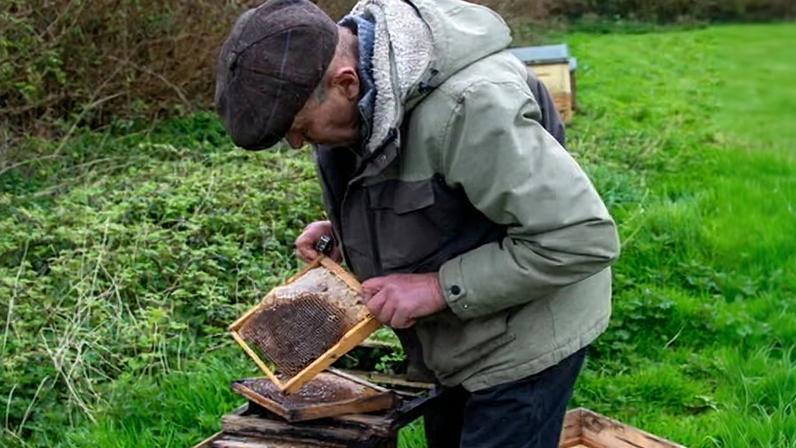 Beekeeper Richard Bray at Haywood farm, St Mabyn, Cornwall.