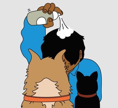 Creme capilar do parceiro é tóxico para pets; ele deve parar de usar?