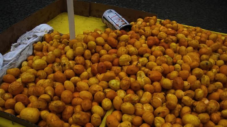 Frutas brasileiras pouco conhecidas que poucos provaram