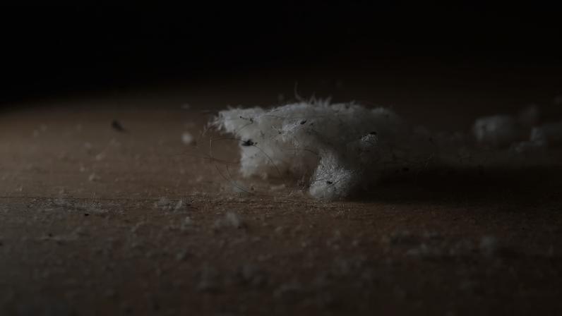 Saiba como sumir com a poeira de casa