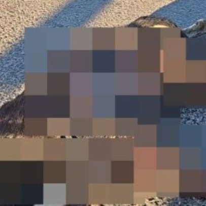 Cão é encontrado morto com sinais de crueldade em avenida de Osório