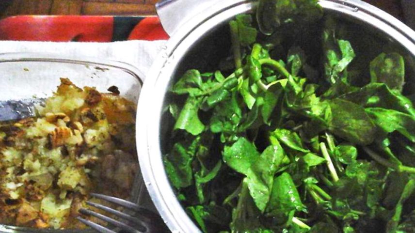 Agrião: pequeno na aparência, gigante na nutrição