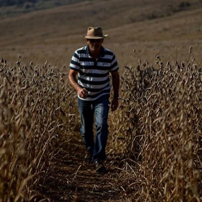 BB vê sinais de melhora nos pagamentos do agro, mas segue monitorando setor