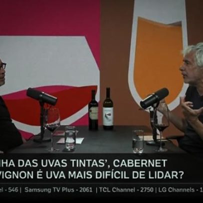 Merlot em queda: por que a uva perde popularidade