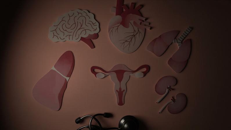 Especialista detalha cronograma de cuidados personalizado para proteger a saúde da mulher, com foco no bem